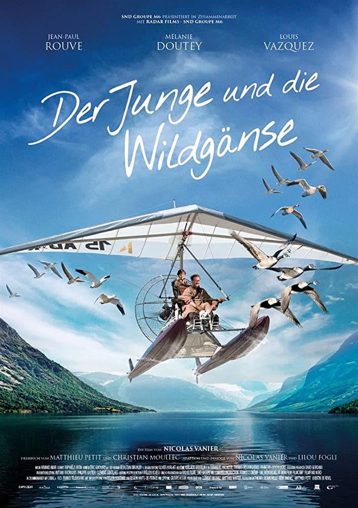 Plakat Der Junge und die wilden Gänse
